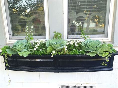 Self Watering Window Box DIY Installation — Oopsy Daisy Garden Market | Window boxes diy, Window ...