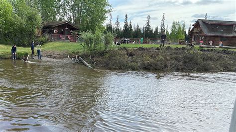 Column Visiting The Chena River Near Fairbanks Alaska • Current Publishing