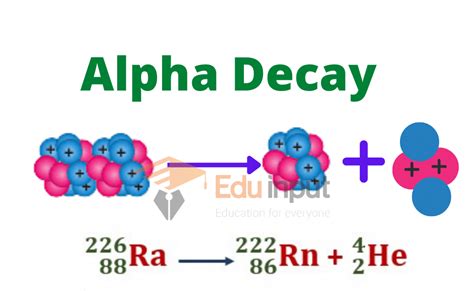 Nuclear Transmutation Decay Reactions Alpha Decay Beta Decay And