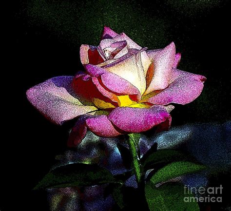 Alan Rose Photograph by Norman Andrus - Fine Art America