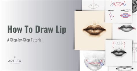 Tutorial How To Draw Lips Step By Step Infoupdate Org