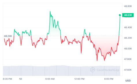 Bitcoin Bulls Step Back as Price Nears $49,000 Peak