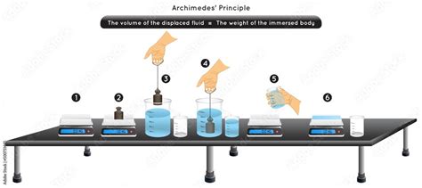 Archimedes Principle Experiment Infographic Diagram Example Weight