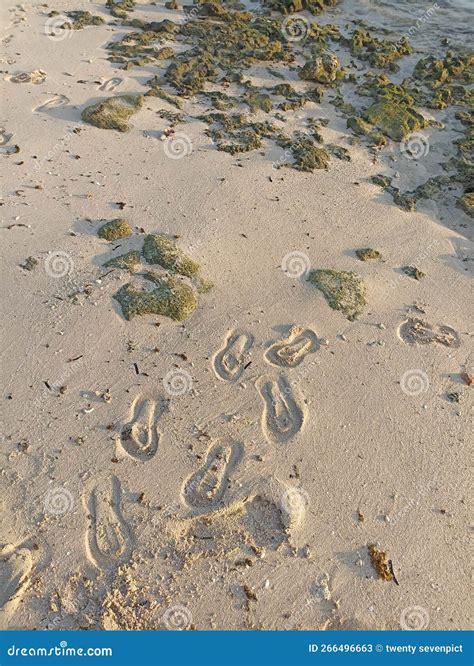 Footprint In The Beach Sand And X29 Rock Water Stock Image Image Of