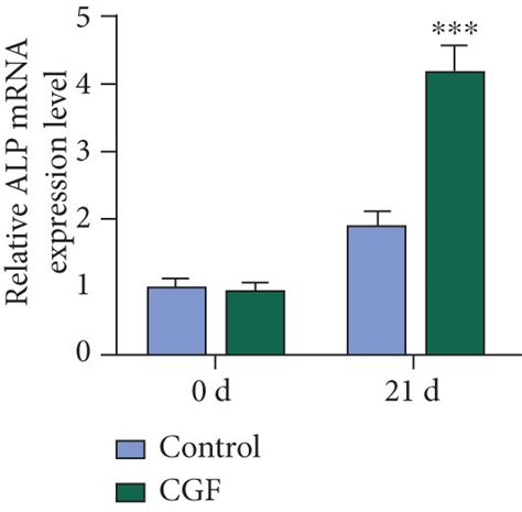 CGF Fibrin Membrane Upregulated The Expression Of Osteogenesis Related