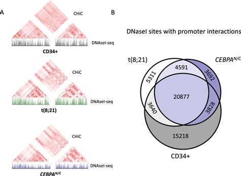 Determination Of The Nuclear Interactome Of Primary Cebpan C Blasts A