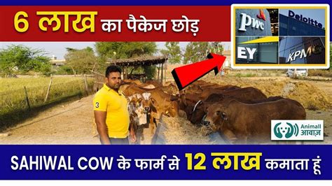 जानिए कैसे 6l की पैकेज वाली जॉब छोड़कर बनाया Sahiwal Cow Dairy Farm💸 Ii