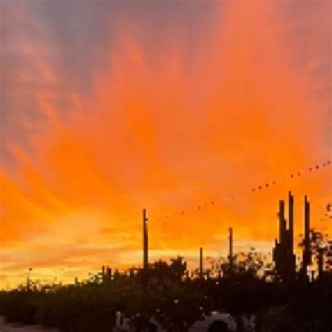 Tessa Big Tits XHamster