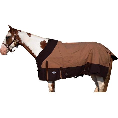 Top 10 Cheap Horse Turnout Winter Blankets 2018 - Best Horse Blankets