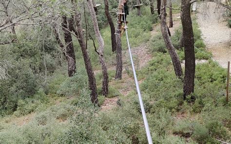 1 Parc Du Castellet Royaume Des Arbres