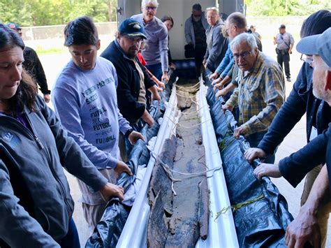 Hallan Una Canoa De A Os De Antig Edad En Un Lago De Estados