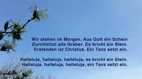 Wir Stehen Im Morgen Aus Lieder Zwischen Himmel Und Erde Nr 416