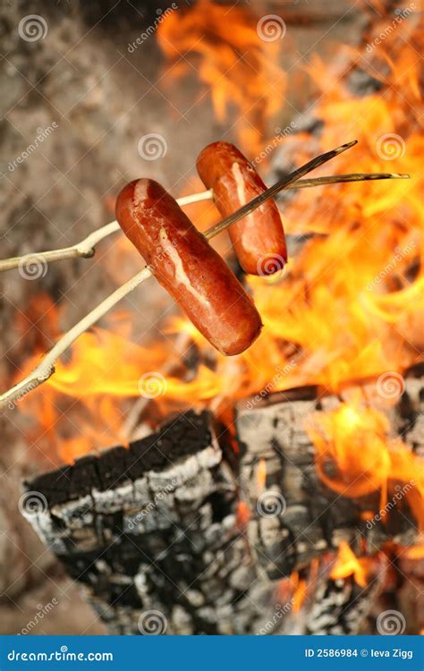 BBQ Sausages On Sticks Stock Images - Image: 2586984