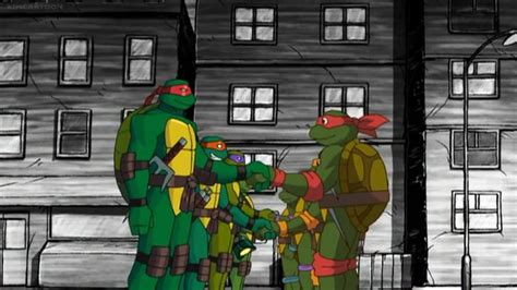 Pin By Tmnt Lover Forever On Turtles Forever Tmnt Turtles Forever Teenage Mutant Ninja Turtles