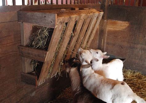 Building A Hay Feeder From Pallet Build Your Own Hay Feeder Goat Or