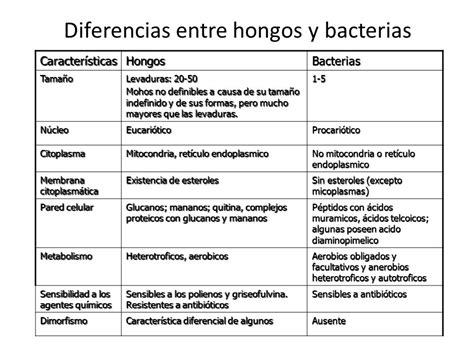 Cuadro Comparativo Entre Bacterias Hongos Virus Y Parasitos Descargar Sexiz Pix