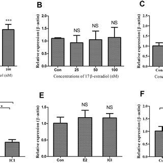 Effect of 17β estradiol on AACS FASN and SCD mRNA expressions in the