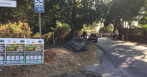 Vasto Incendio Nel Bosco Di Foglino Brucia La Macchia Nella Zona Di