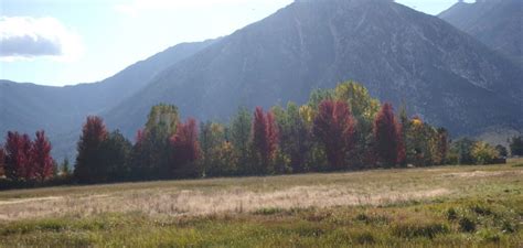 Best Places to Find Autumn Color in Nevada During Mid- To Late October ...