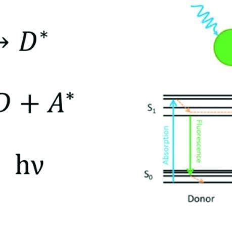 (a) Description of the FRET mechanism. D (A) and D* (A*) are the ground ...