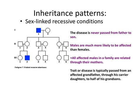 Ppt Sex Linked Inheritance Powerpoint Presentation Free Download