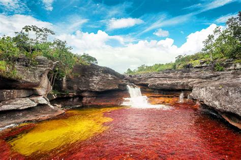 Caño Cristales : Travel guide (2022)