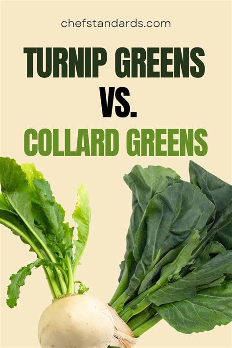 4 Main Differences Between Turnip Greens And Collard Greens