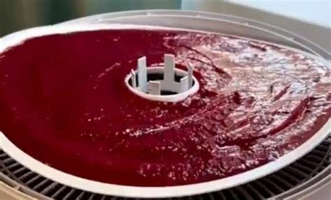 Брусничная пастила с яблоками и медом простой рецепт пошаговый