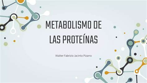 Metabolismo De Prote Nas Ppt