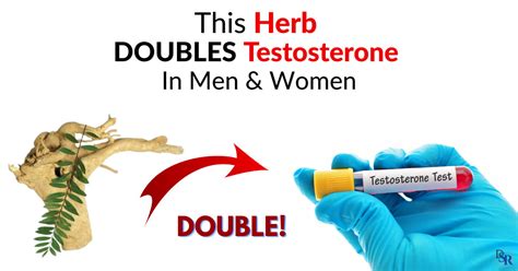 This Herb Doubles Testosterone In Men And Women [clinically Proven] Dr Sam Robbins