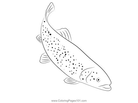 Brook Trout Coloring Page For Kids Free Trouts Printable Coloring