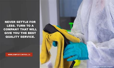 What To Look For When Choosing The Right Pest Control Company Jdm