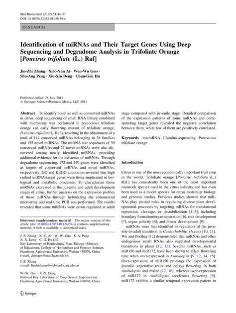 Pdf Identification Of Mirnas And Their Target Genes Using Deep