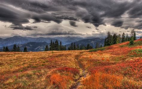 Field In Autumn Wallpapers Wallpaper Cave