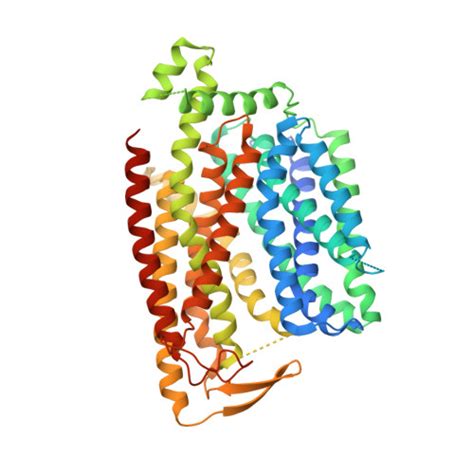 Rcsb Pdb Qsm Cryo Em Structure Of Human Slc A Monomer In Outward