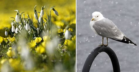 Lista H R Blir Det Som Varmast Och Kallast I P Sk Svt Nyheter