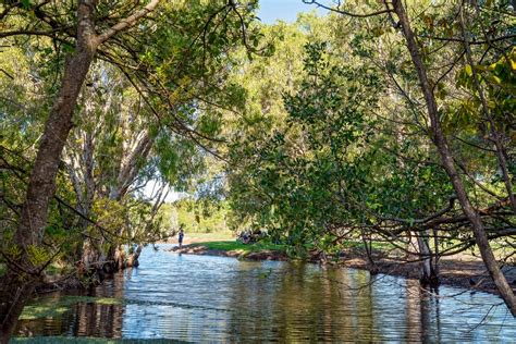 Two new national parks for Qld - Council