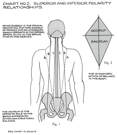 Polarity Therapy Google Search Polarity Therapy Alternative