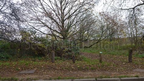 pictures  hampstead heath park london   britain