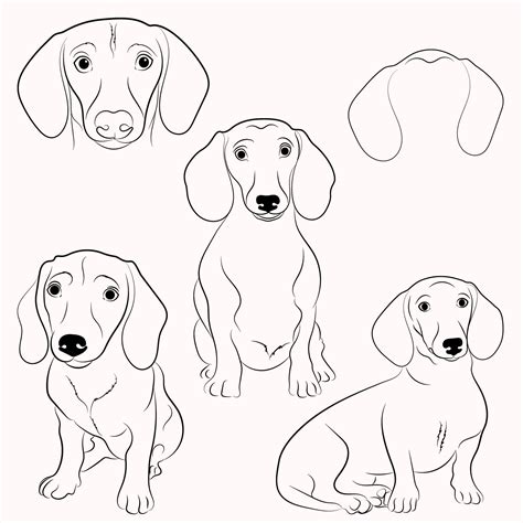 Dachshund Svg Masterbundles