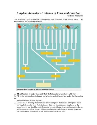 Kingdom Animalia Evolution Of Form And Function