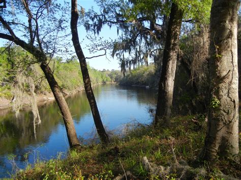 Suwannee River State Park - The Traveling Kings