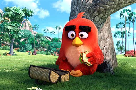 How To Watch The Angry Birds Cartoon Cartoon - mustfor