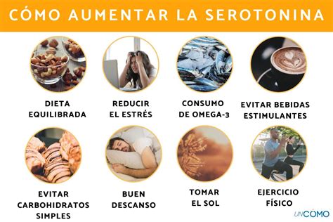 8 hábitos para aumentar la serotonina Cambia tu estado de ánimo y se