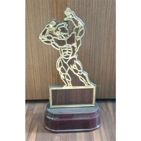 10 Inch Metal Body Builder Trophy At Rs 1000 Piece Metal Trophies In