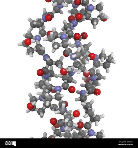 Collagen Model Protein Molecule Chemical Structure Collagen Adopts