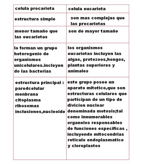 Un Cuadro Comparativo De Las Celulas Eucariotas Y Procariotas Compartir Celular