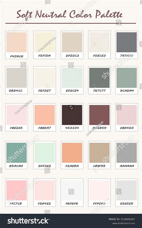 Soft Neutral Color Palette Vector Stock Vector (Royalty Free ...