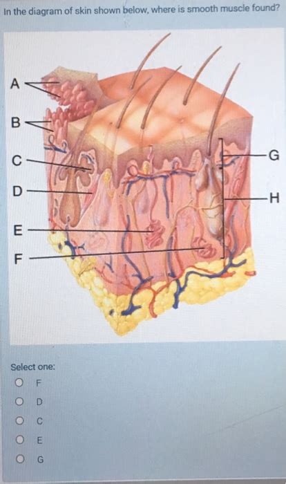 Anatomy And Physiology Archive March 01 2018 Chegg