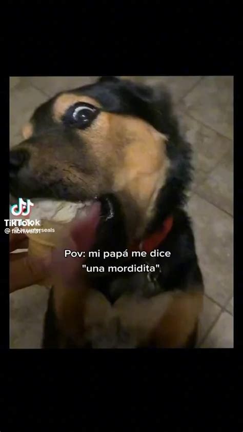 Pin De Chofiii En Idk Video Memes Divertidos Chistes Graciosos